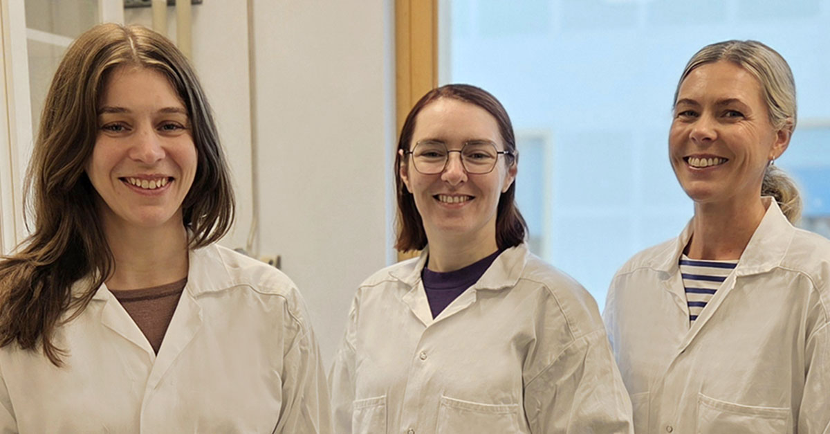 Tove Sörnmo, Lisa Theorin and Camilla Drott