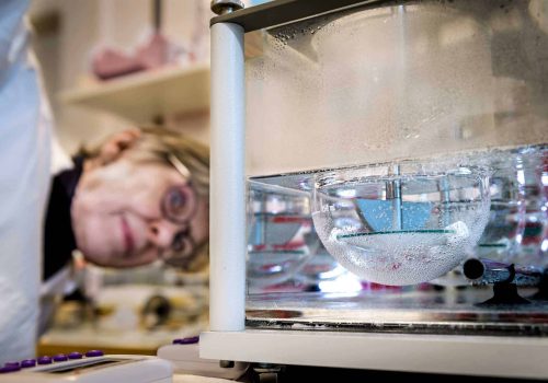 Dissolution testing of the lung dose_1 Dissolution of testing the lung dose at emmace lab